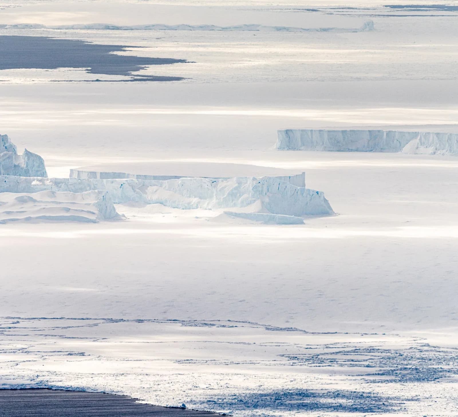 Emperor Penguin Ice Fields in Antarctica