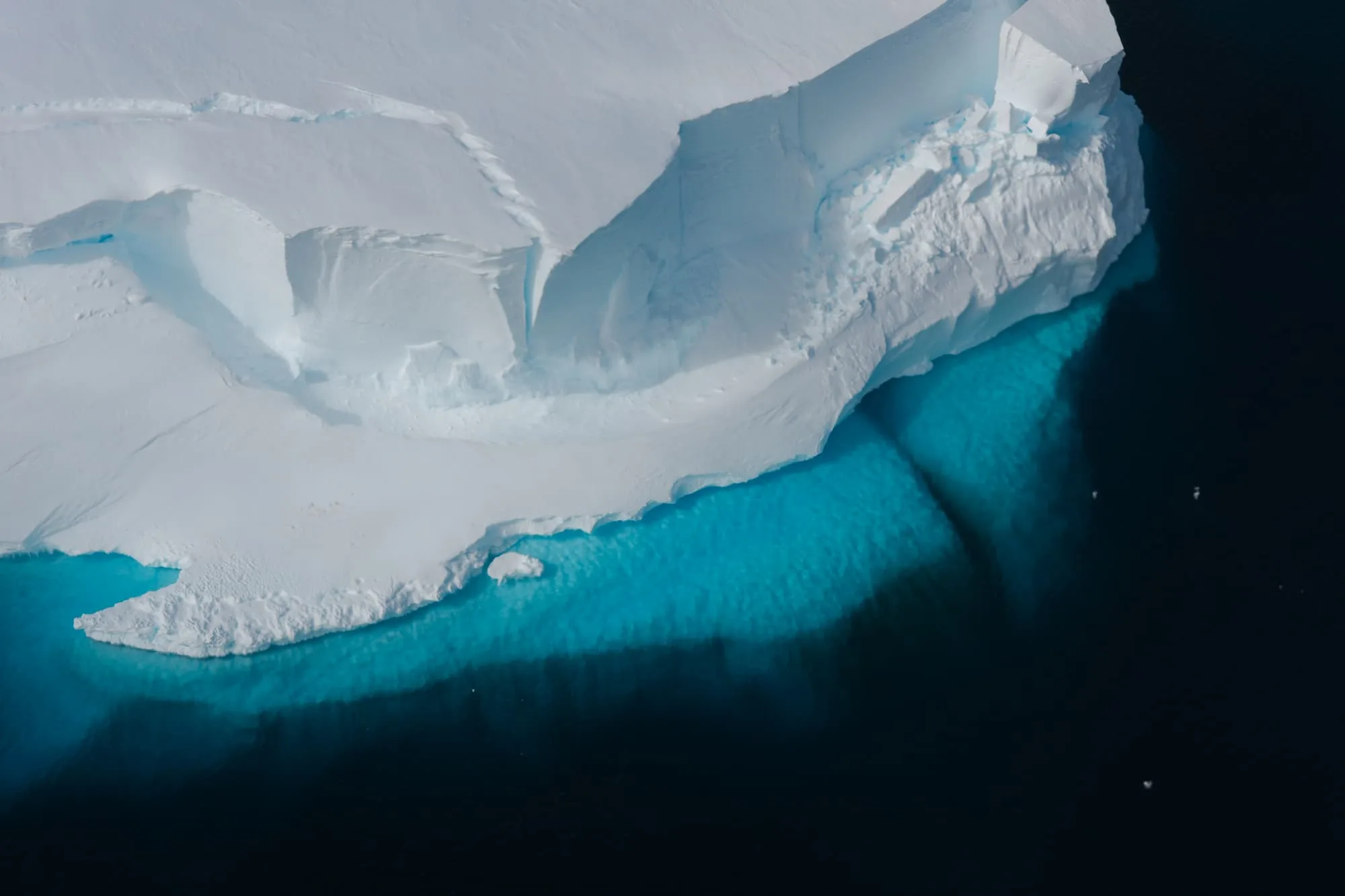 Emperor Penguin Ice Fields region