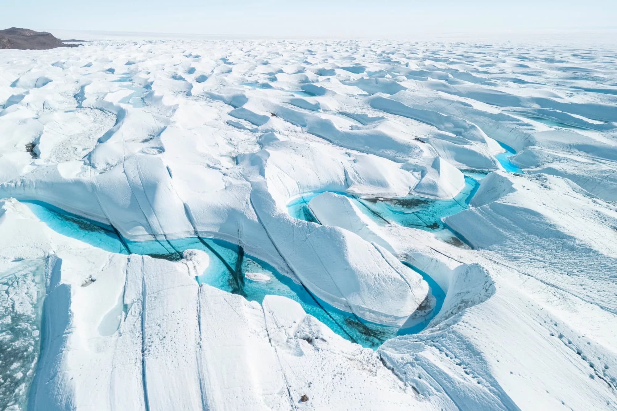 Emperor Penguin Ice Fields region