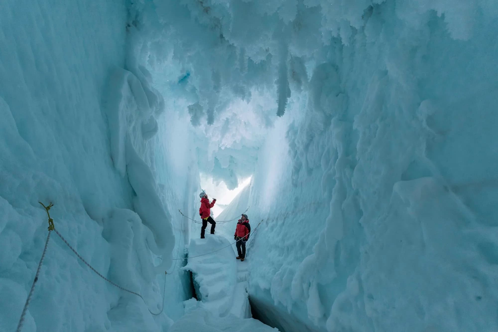 Antarctica in a Day feature image