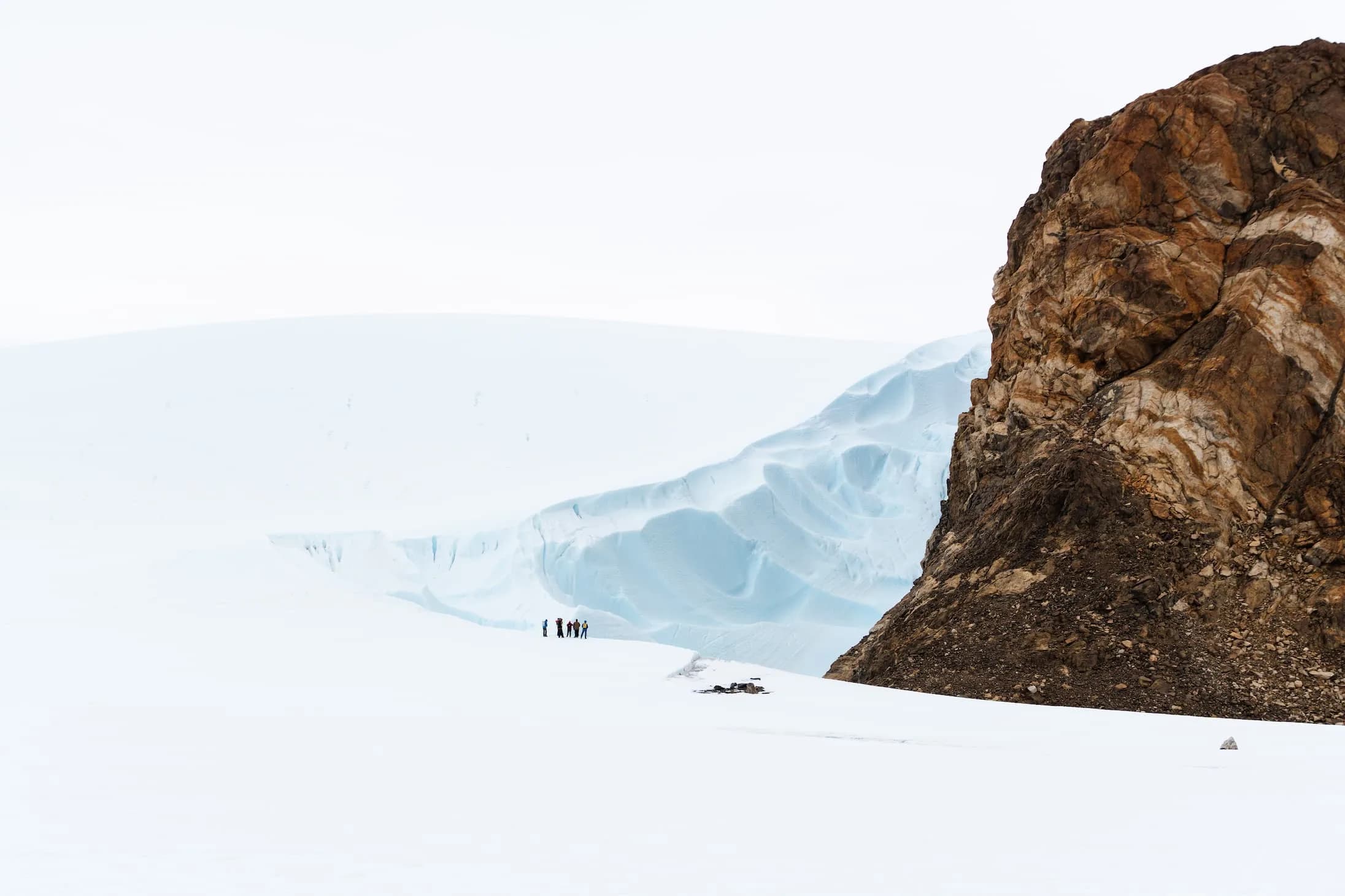 Discovery Week feature image