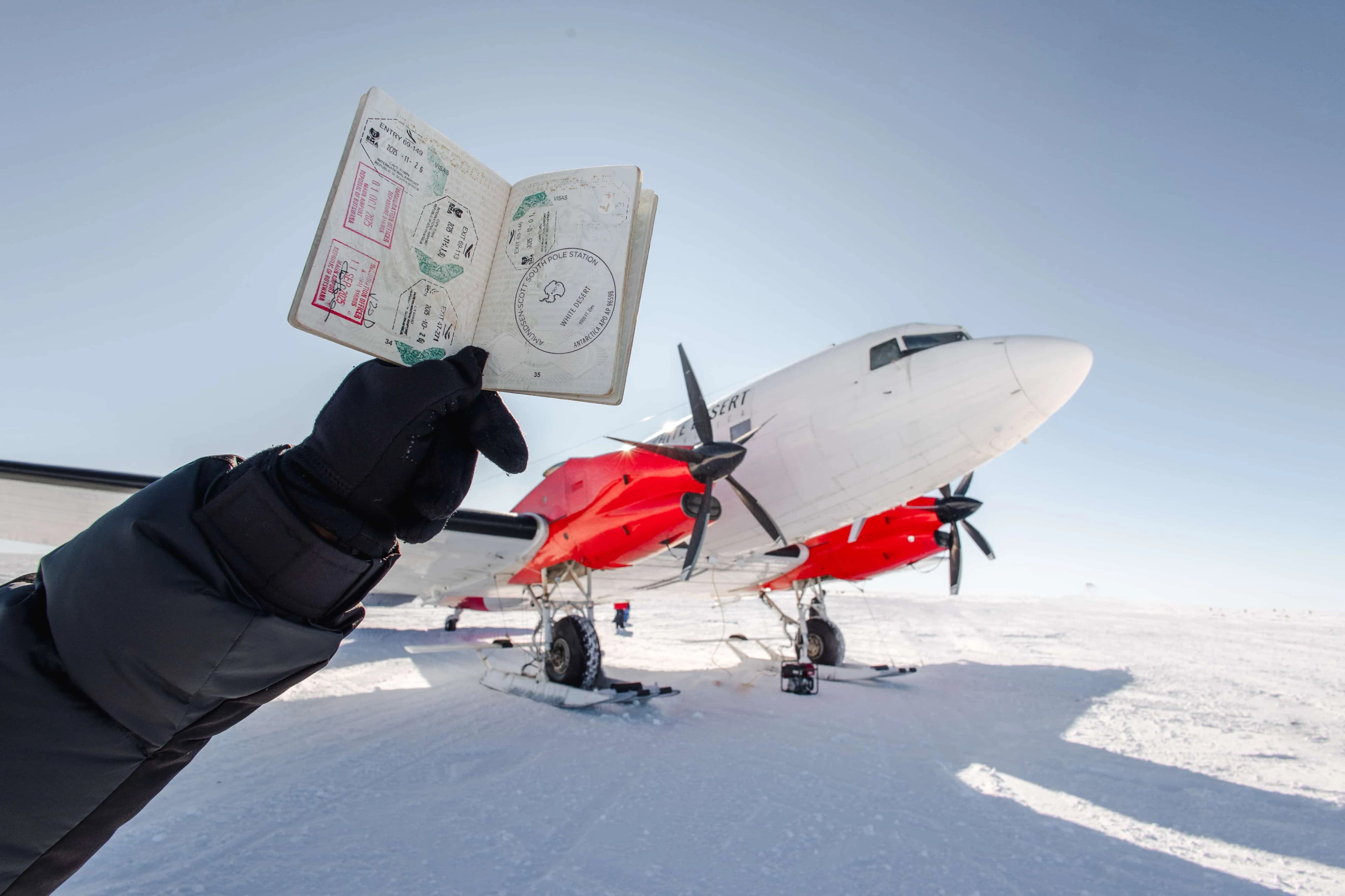 South Pole & Penguins feature image