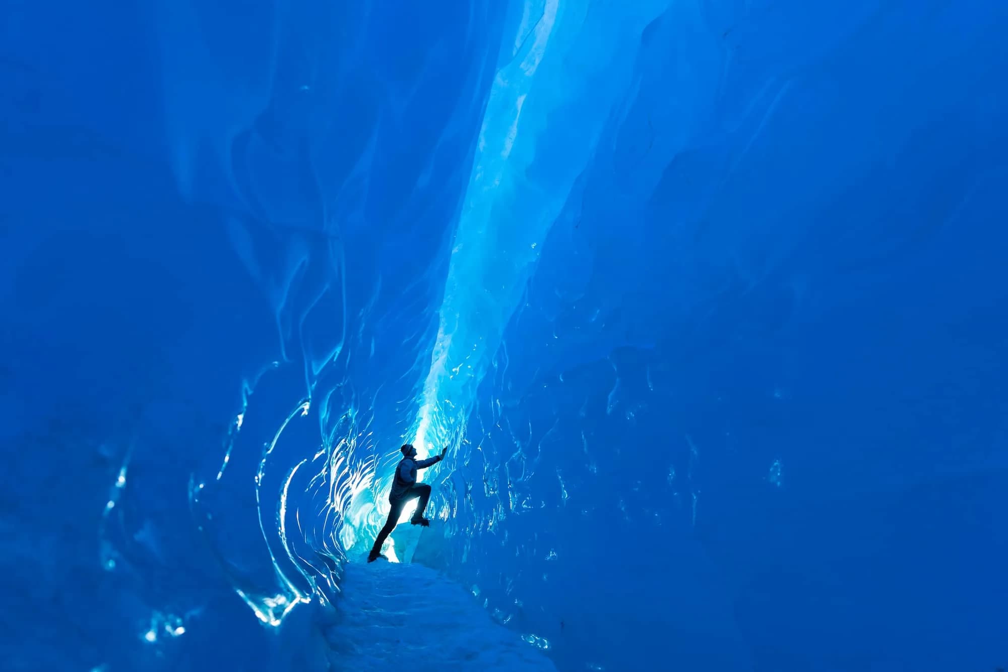 Guests at the geographic South Pole